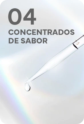 Concentrados de sabor