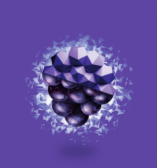 grape_ice_316x340